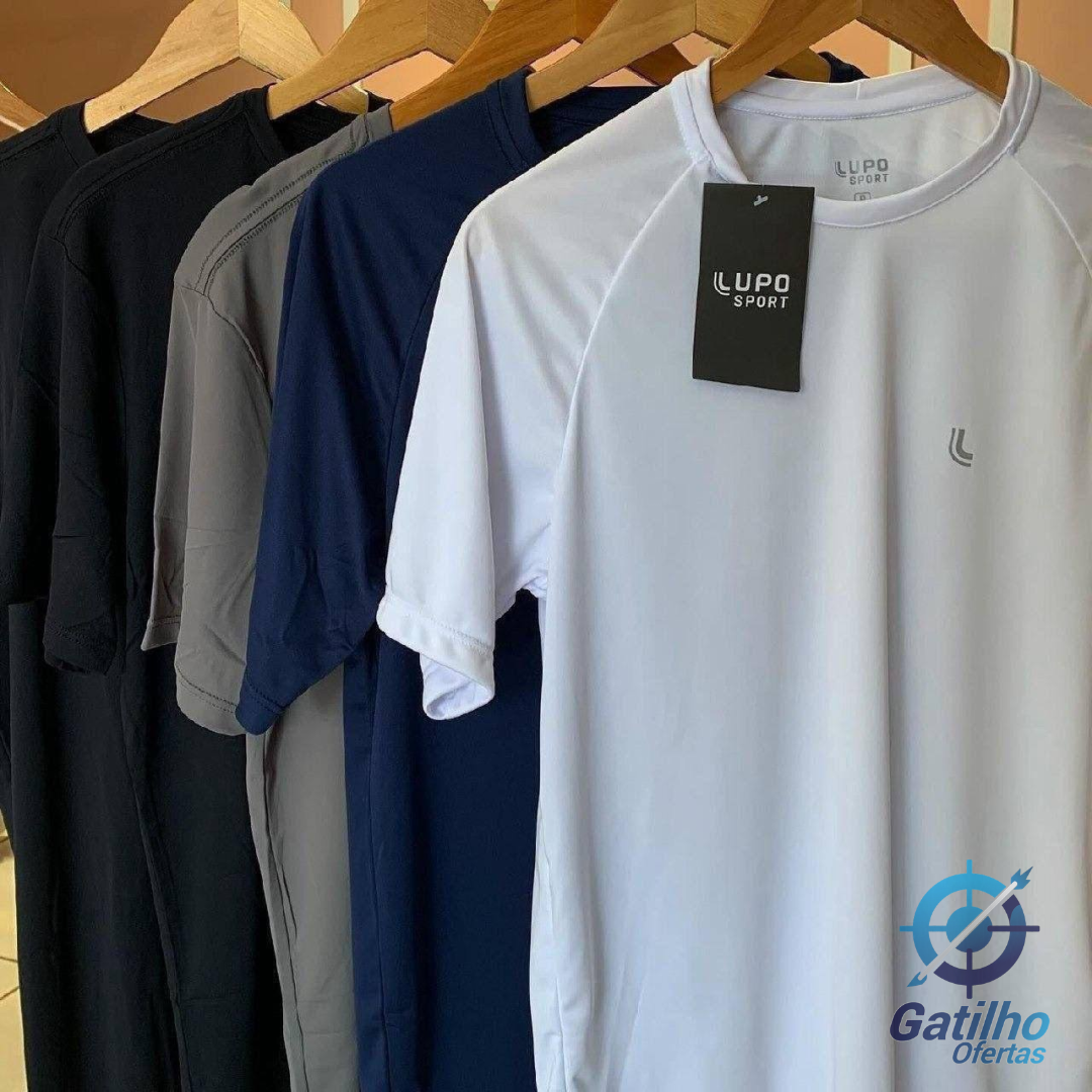 Kit 2 Camiseta Dry Fit Masculina Lupo Básica Academia