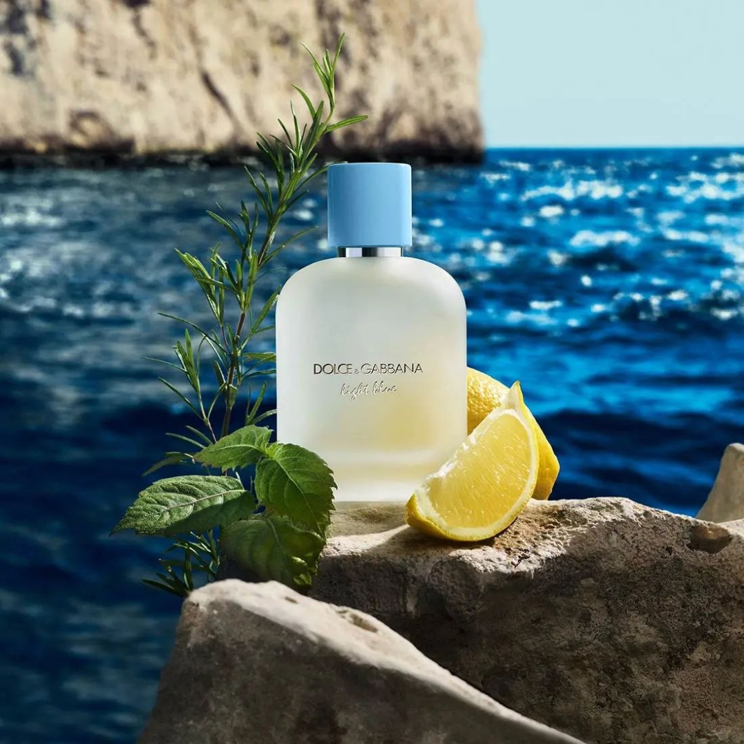 Dolce & Gabbana Light Blue Pour Homme EDT Perfume Masculino 100ml