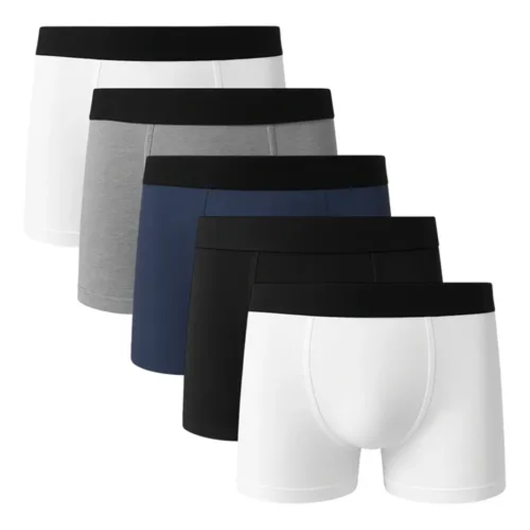 Kit 5 Cuecas Box Boxer Basic 100% Algodão Masculina Sortido