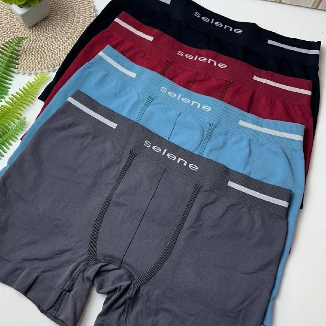 Kit 10 Cueca Boxer Sem Costura Microfibra Selene Masculina