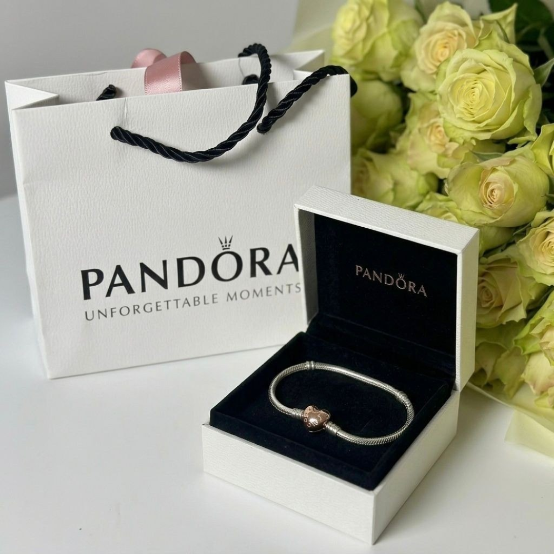 Bracelete Pandora Moments
