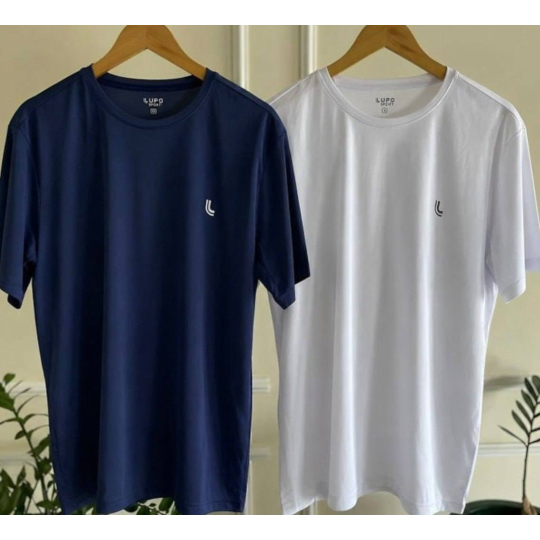 Kit 2 Camiseta Dry Masculina Fit Lupo Básica Academia