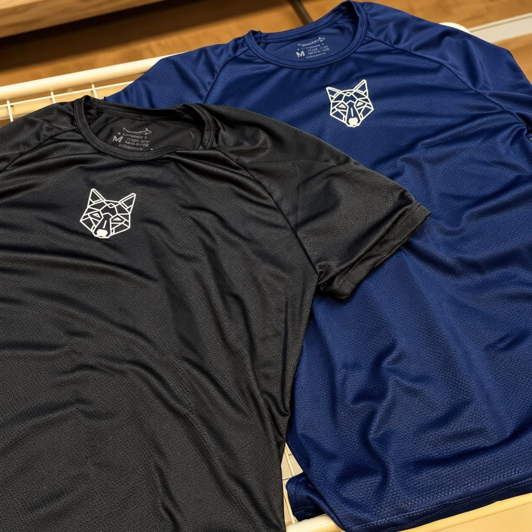 Kit com 2 Camisetas Dry Alpha