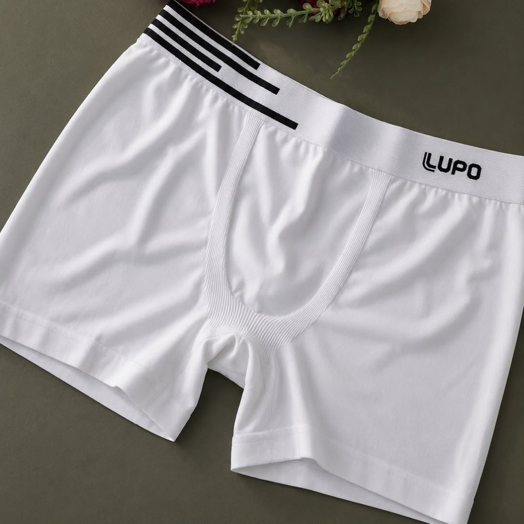 Kit com 4 Cuecas Lupo Boxer Poliamida sem Costura