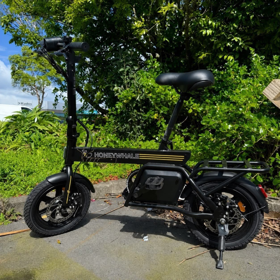 Bicicleta Elétrica Honeywhale B20