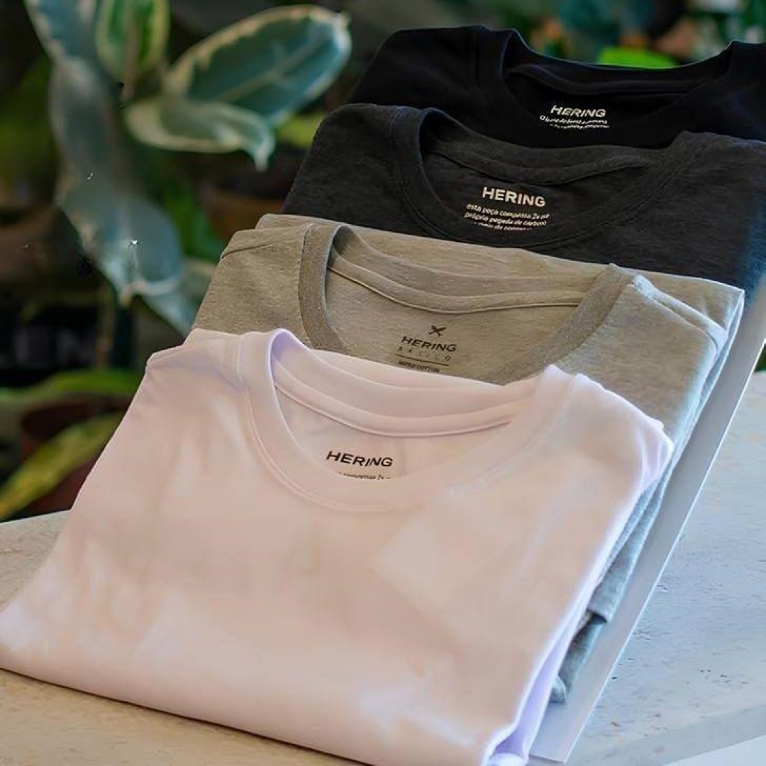 Kit 2 Camisetas Masculinas Básicas Relaxed Hering Adulto