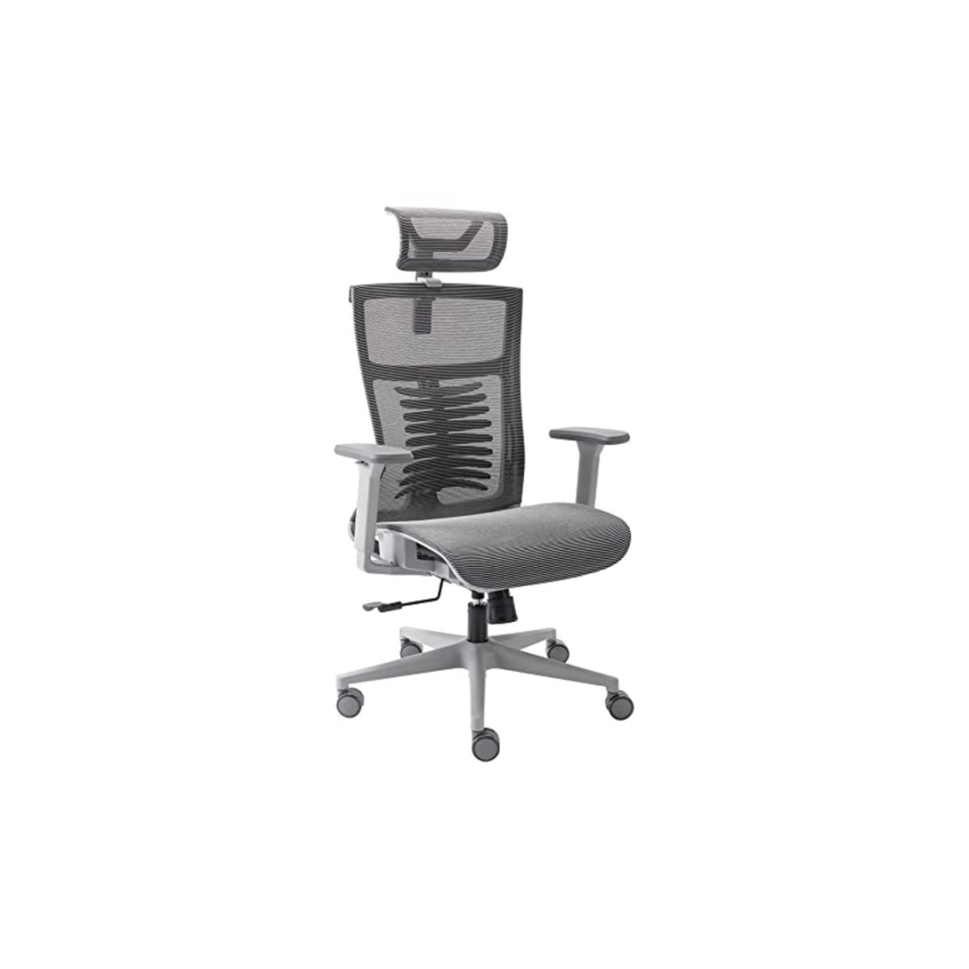 Cadeira de Escritório Ergonômica Vertta Pro Cinza com Apoio Lombar