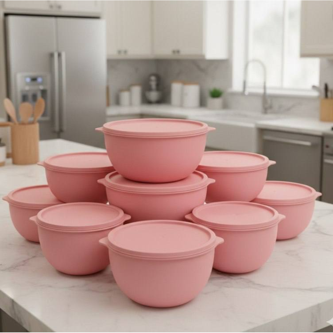 Conjunto 11 Peças Plasticos Multiuso Freezer Microondas