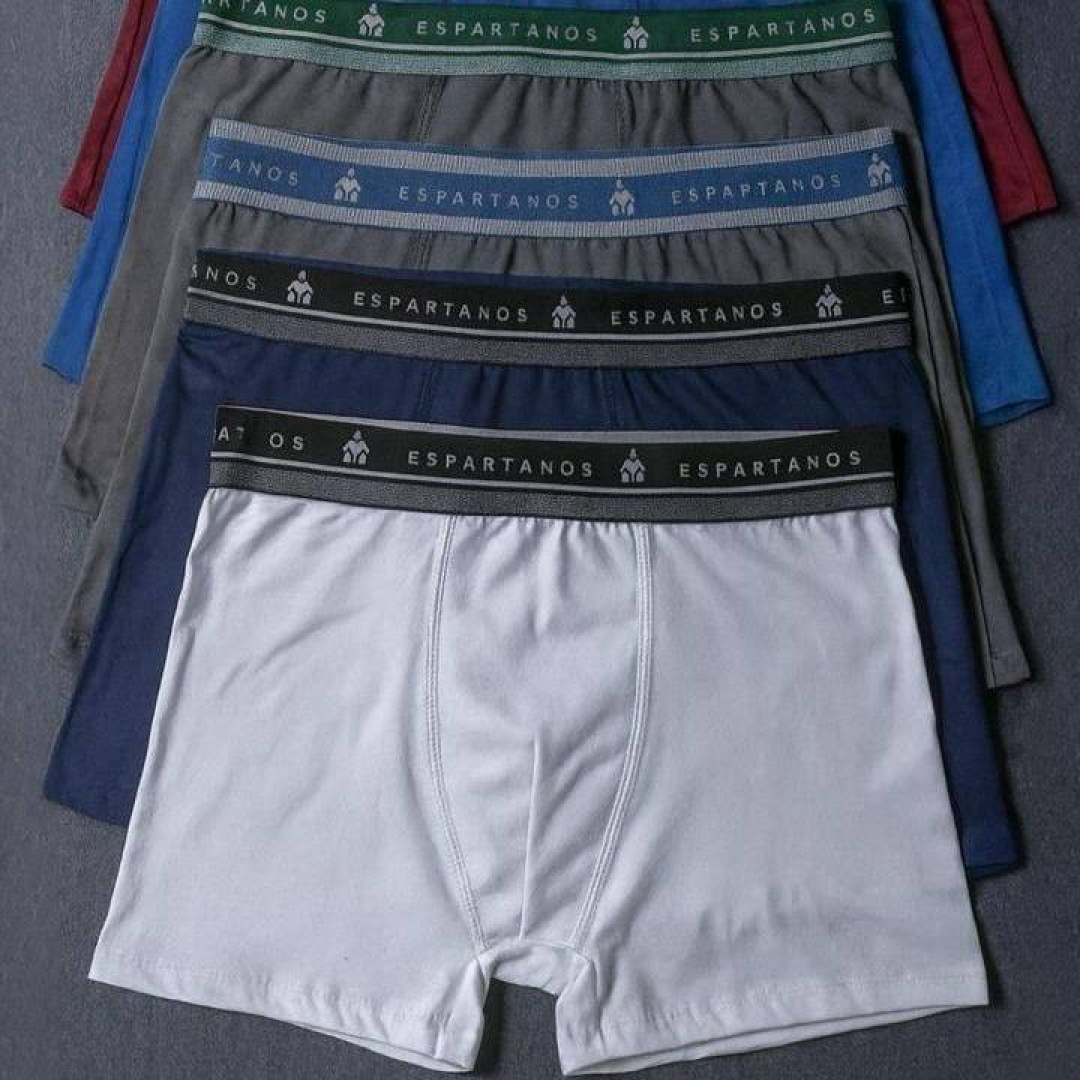 Kit Com 10 Cuecas Boxer Masculina Microfibra Original