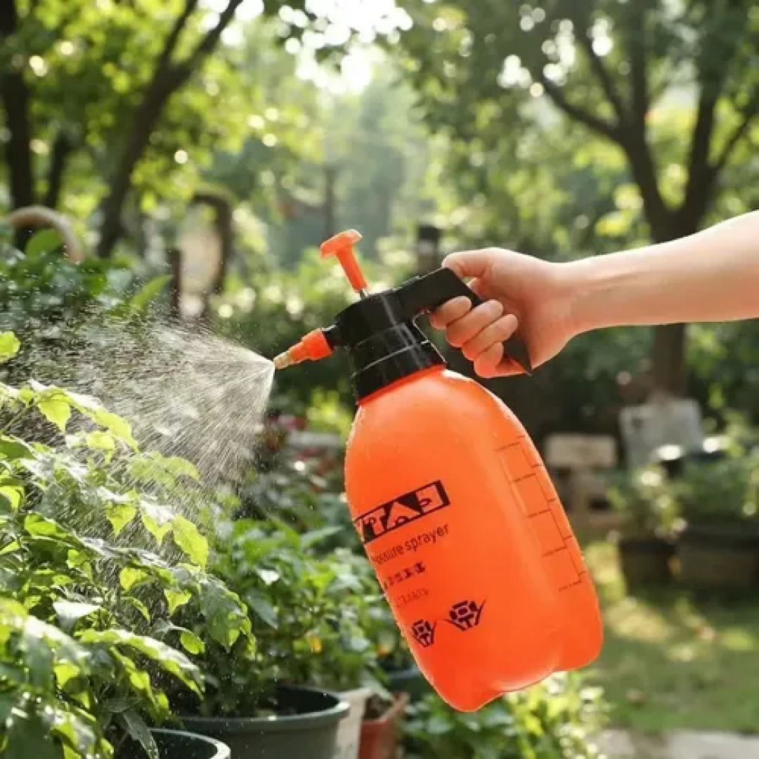 Snow Foam Pulverizador 2L